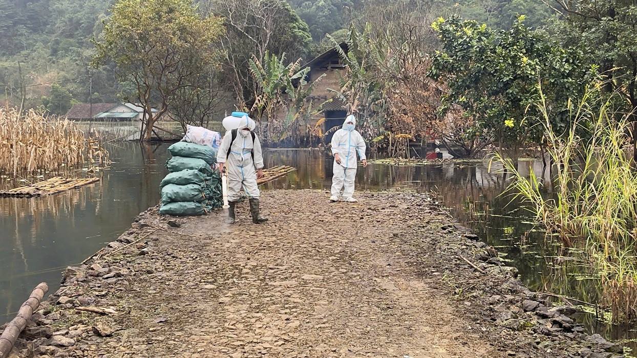 wierzy w ten artykuł